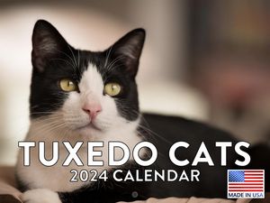 Tuxedo Cats 2024 Calendar
