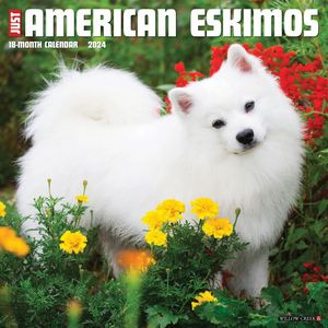 American Eskimos 2024 Calendars