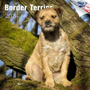 Border Terrier 2024 Calendar