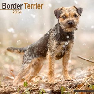 Border Terriers 2024 Calendar | Dog-Calendars.com