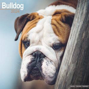 Bulldogs 2024 Calendar