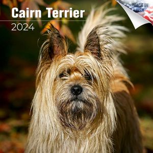 Cairn Terriers 2024 Calendar