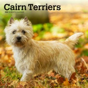 Cairn Terriers 2024 Calendars