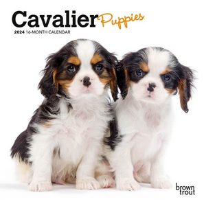 Cavalier Puppies 2024 Calendar