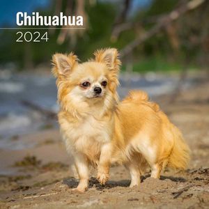 Chihuahua 2024 Calendar