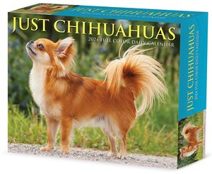 Just Chihuahuas 2024 Box Calendar