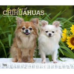 Chihuahuas 2024 Deluxe Wall Calendar