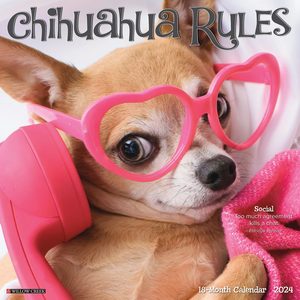 Chihuahua Rules 2024 Calendar