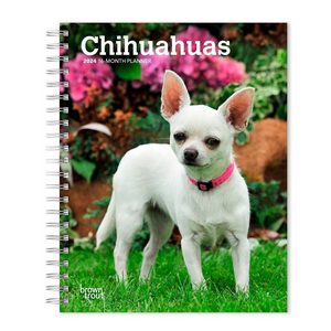 Chihuahuas 2024 Weekly Engagement Calendar