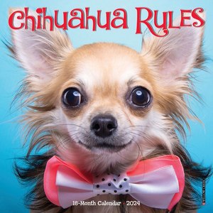 Chihuahuas Rules 2024 Mini Wall Calendar