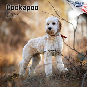 Cockapoo 2024 Calendar