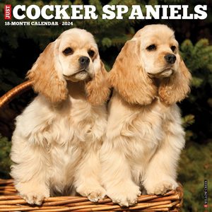 Cocker Spaniels 2024 Calendar