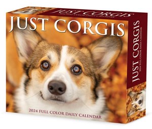 Just Corgis 2024 Calendar
