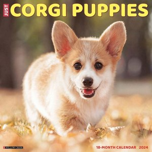 Corgi Puppies 2024 Calendar