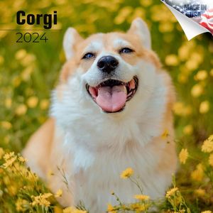 Corgi 2024 Calendar