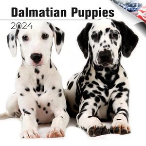 Dalmatian Puppies 2024 Calendar