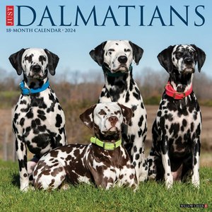 Dalmatians 2024 Calendar