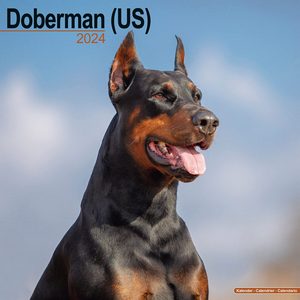 Doberman 2024 Calendar