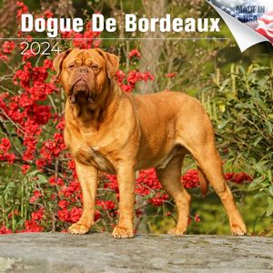Dogue de Bordeaux 2024 Calendar