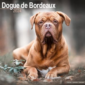 Dogue De Bordeaux 2024 Calendar