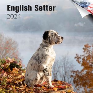 English Setter 2024 Calendar