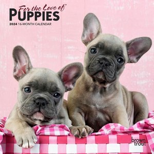 For The Love Of Puppies 2024 Calendar