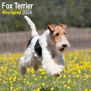 Fox Terrier Wire Haired 2024 Calendar