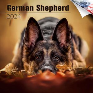 German Shepherd 2024 Calendar