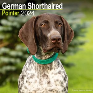 German Shorthaired Pointer 2024 Calendar