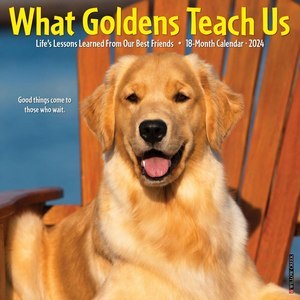 What Goldens Teach Us 2024 Calendar