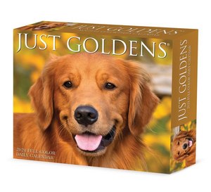 Just Goldens 2024 Box Calendar