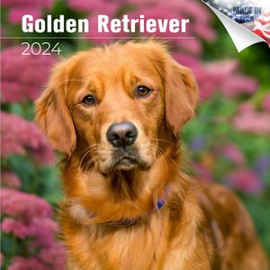 Golden Retriever 2024 Calendar