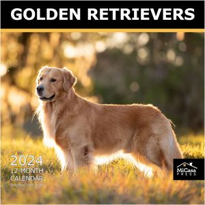 Golden Retrievers 2024 Calendar