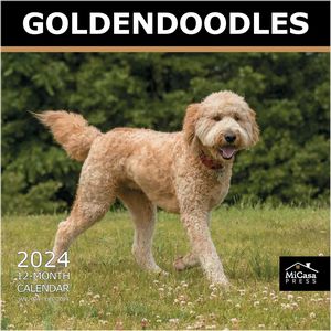 Goldendoodles 2024 Wall Calendar