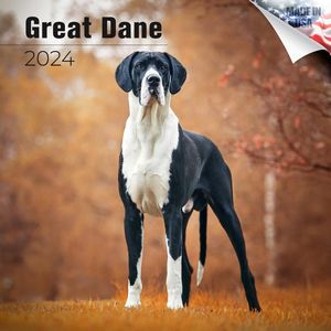 Great Dane 2024 Calendar