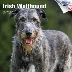 Irish Wolfhound 2024 Calendar