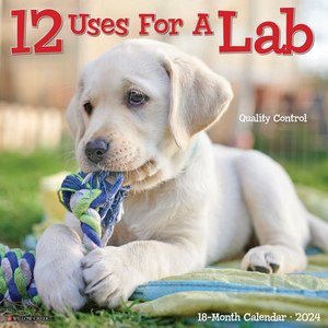 12 Uses For a Lab 2024 Calendar