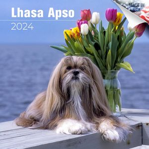 Lhasa Apso 2024 Calendar