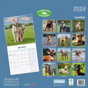 Lurcher 2024 Calendar
