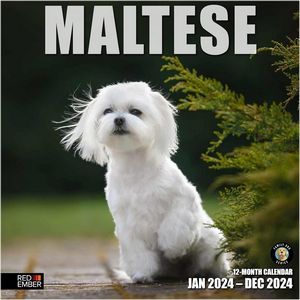 Maltese 2024 Calendar