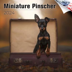 Miniature Pinschers 2024 Calendar