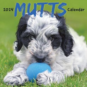 All Mixed Up 2024 Calendar | Mutts Calendar | Dog-Calendars.com