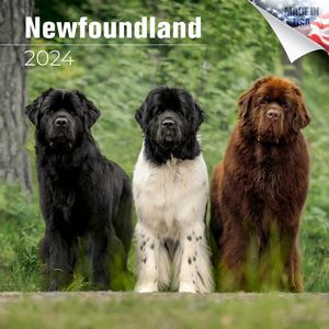 Newfoundland 2024 Calendar