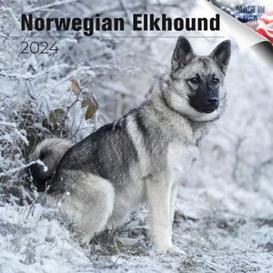 Norwegian Elkhound 2024 Calendar