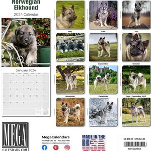 Norwegian Elkhound 2024 Calendar