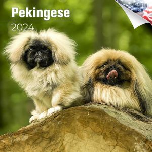 Pekingese 2024 Calendar