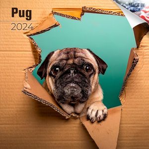 Pug 2024 Calendar