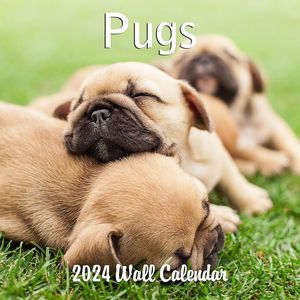 Pugs 2024 Calendar