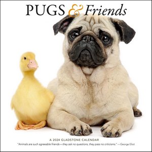 Pugs & Friends 2024 Calendar