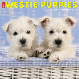 Westie Puppies 2024 Calendar